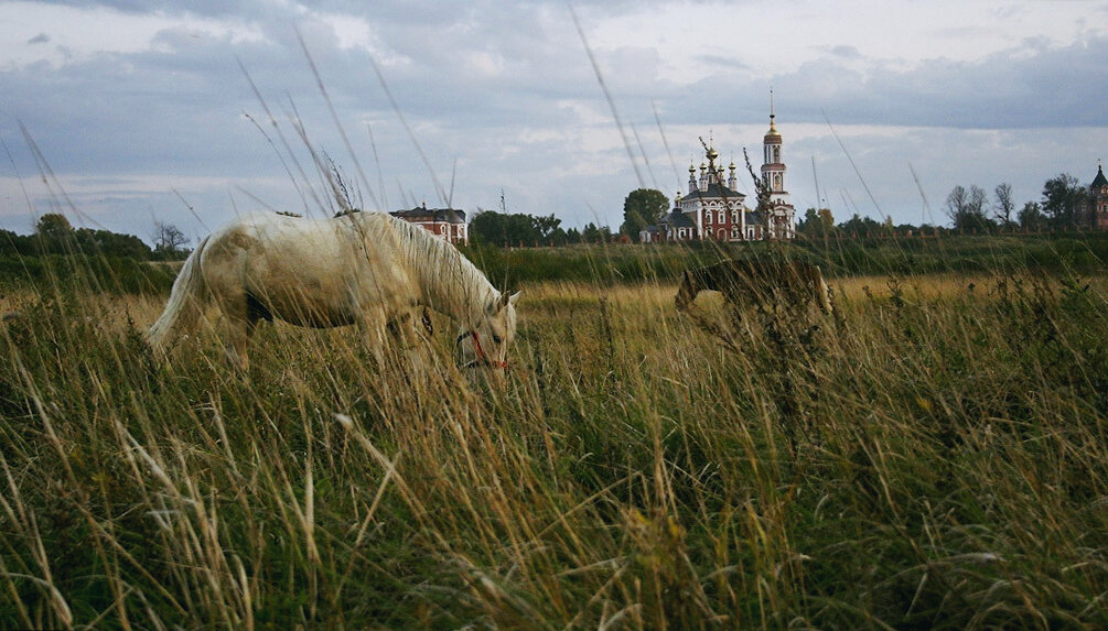 На поле. Из серии "Вечный Суздаль" - Вячеслав Владимирович
