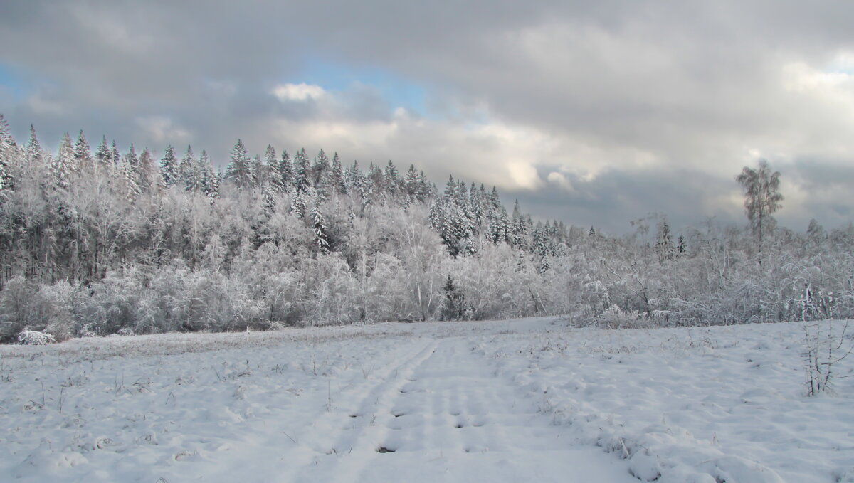 Дорогой зимнею. - Маргарита ( Марта ) Дрожжина Дорогой зимнею. - Маргарита ( Марта ) Дрожжина