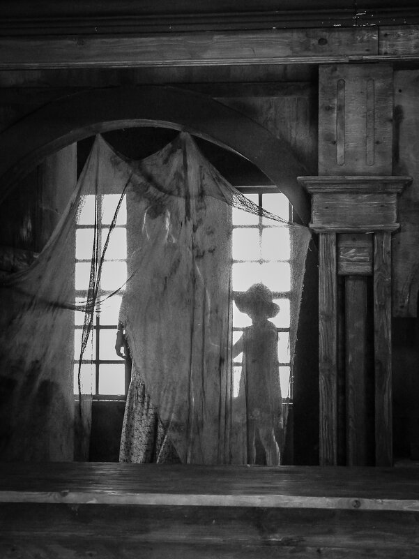 Тени забытых предков - Наталья Rosenwasser Тени забытых предков - Наталья Rosenwasser