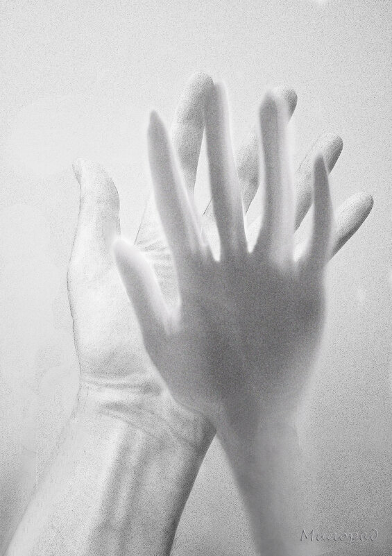 Больше чем дружба - Милорад 