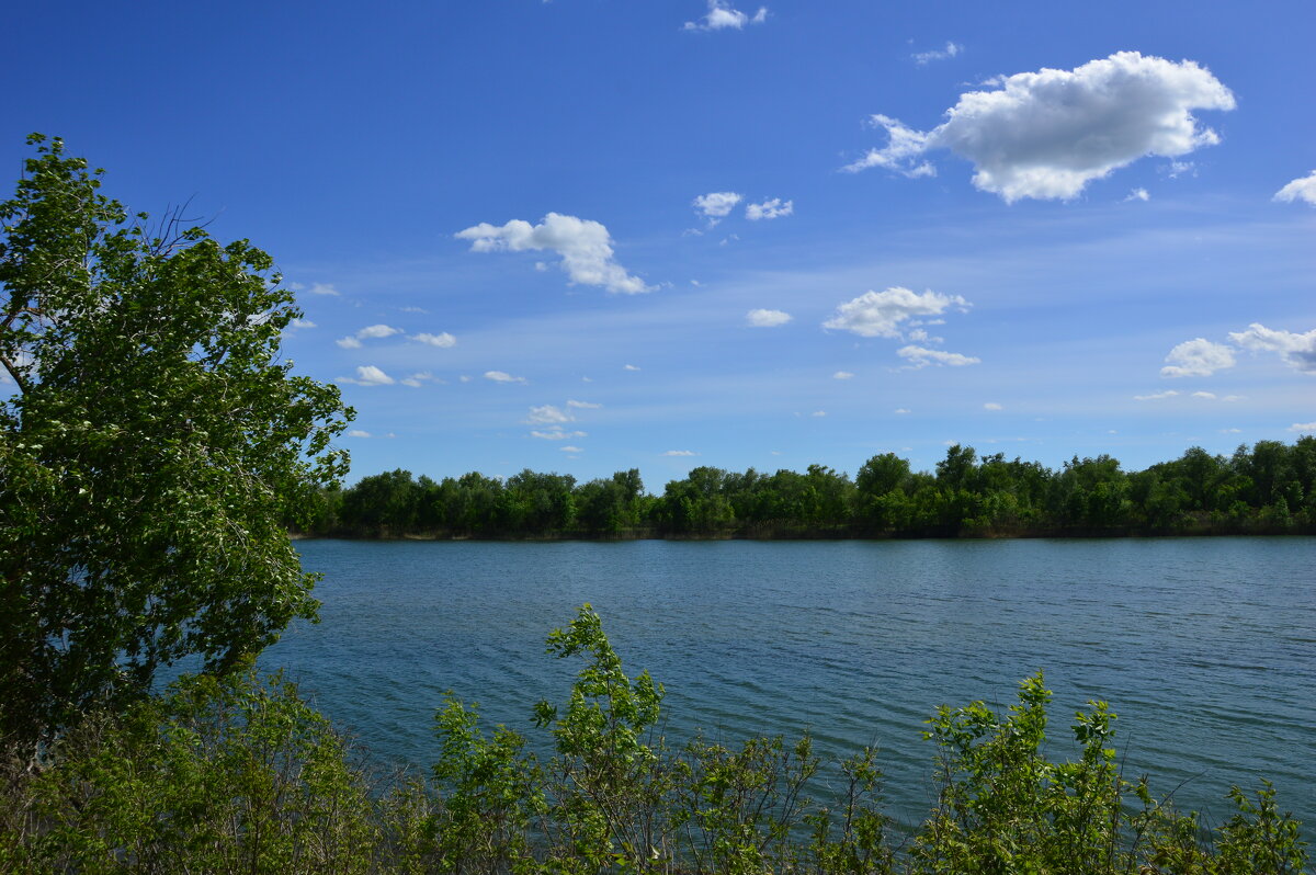 У реки. - Виктор 