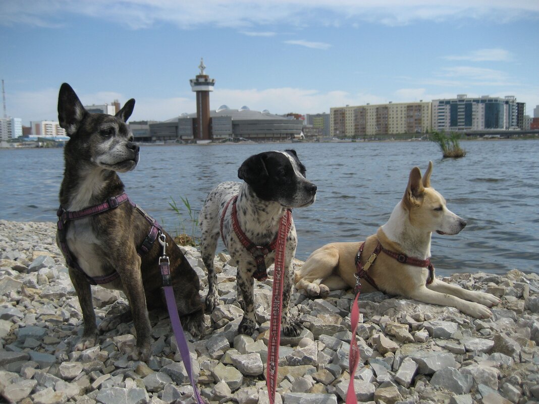 Лето - Anna Ivanova