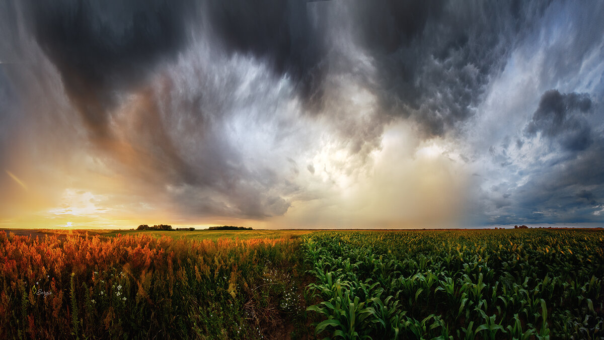 Прикатился - Сергей Домбровский Прикатился - Сергей Домбровский