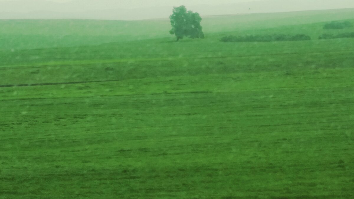 109 (13) - СТРЕН 