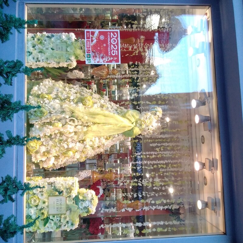 " Новая Заря" цветет и пахнет... - Злая Фурия " Новая Заря" цветет и пахнет... - Злая Фурия