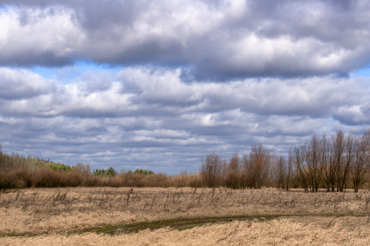 Заливной луг возле реки Днепр - Игорь Сикорский