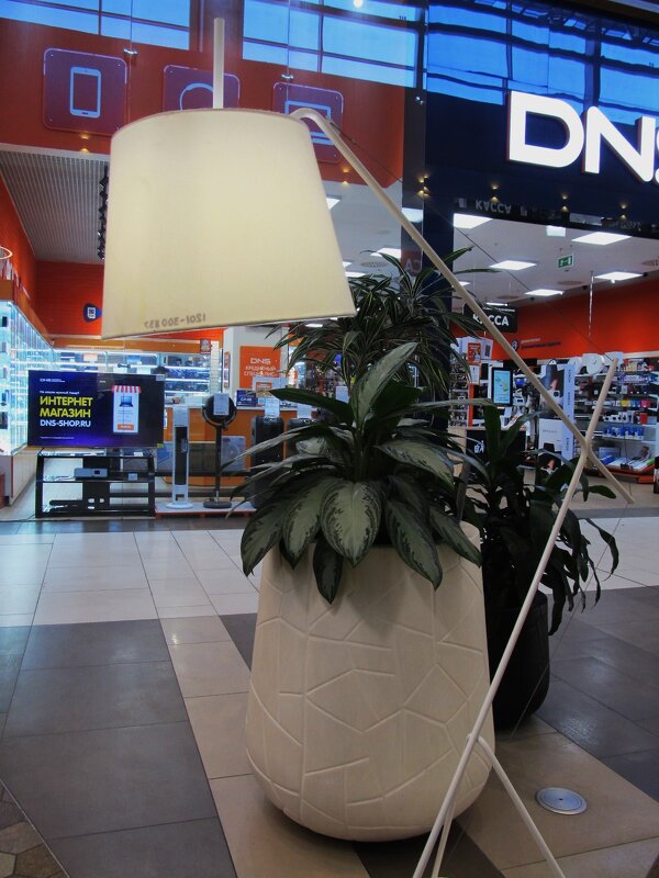 В Ашане - Елена Шаламова В Ашане - Елена Шаламова