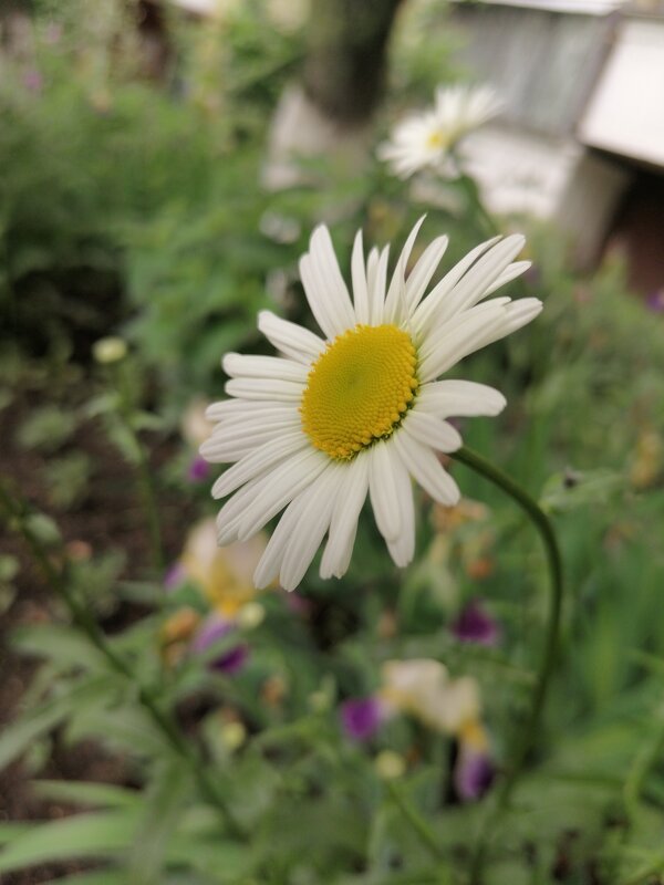 ,,, - Сергей Тимоновский