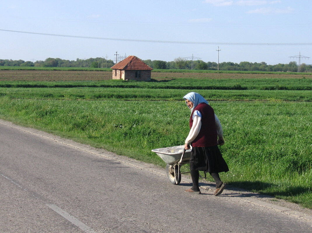 Работа - Милорад Работа - Милорад