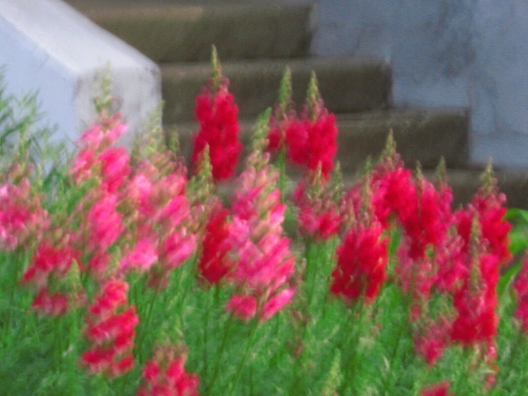 . - Александр Хоменко