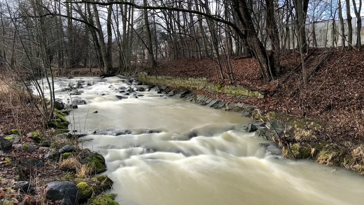 Осень на реке стихи... - "The Natural World" Александер Осень на реке стихи... - "The Natural World" Александер