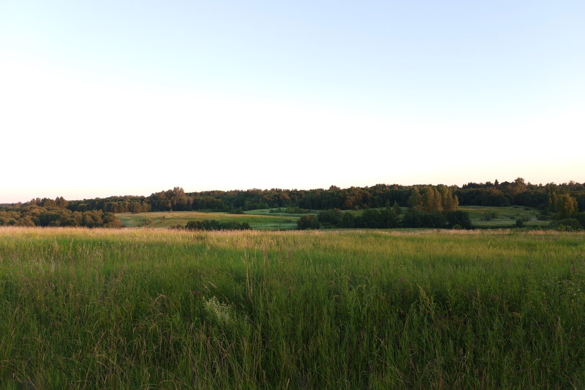 Вид на Полонку - Артем Вид на Полонку - Артем