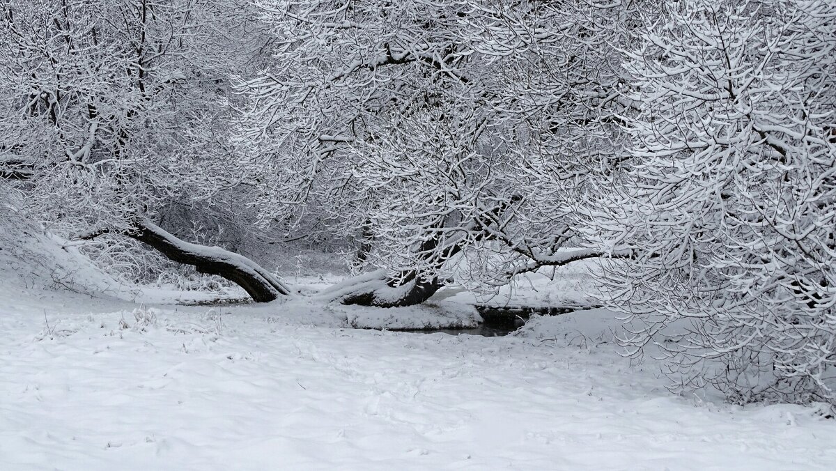 Про минувший январь. - Милешкин Владимир Алексеевич Про минувший январь. - Милешкин Владимир Алексеевич