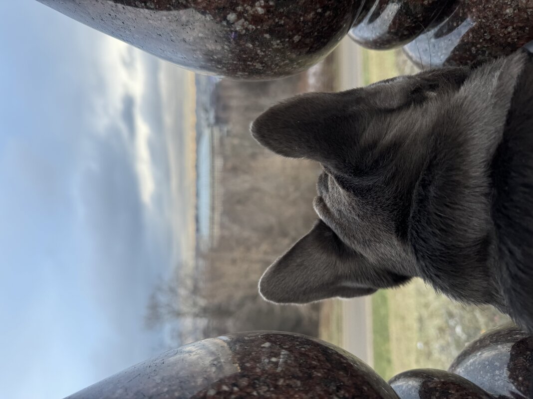 Наблюдаем за шикарным февралем!☀️ - Анна Камс Наблюдаем за шикарным февралем!☀️ - Анна Камс