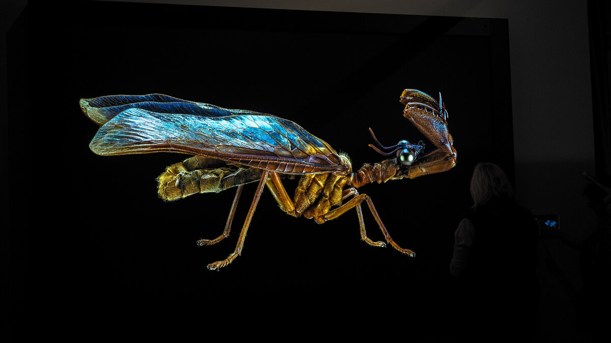 Зарисовка с Выставки - юрий поляков Зарисовка с Выставки - юрий поляков