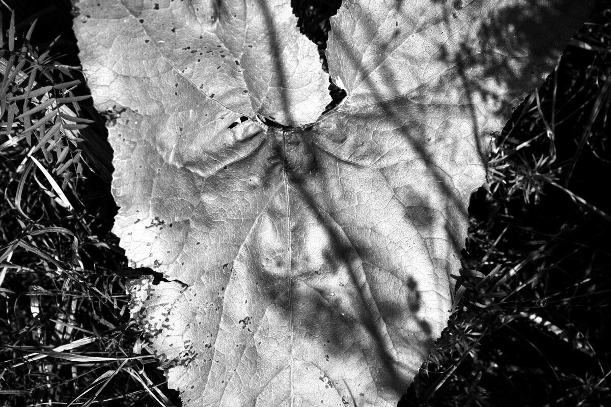 Название отсутствует - Денис Безногов Название отсутствует - Денис Безногов