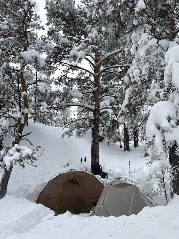 Зимнее восхождение - Георгиевич 