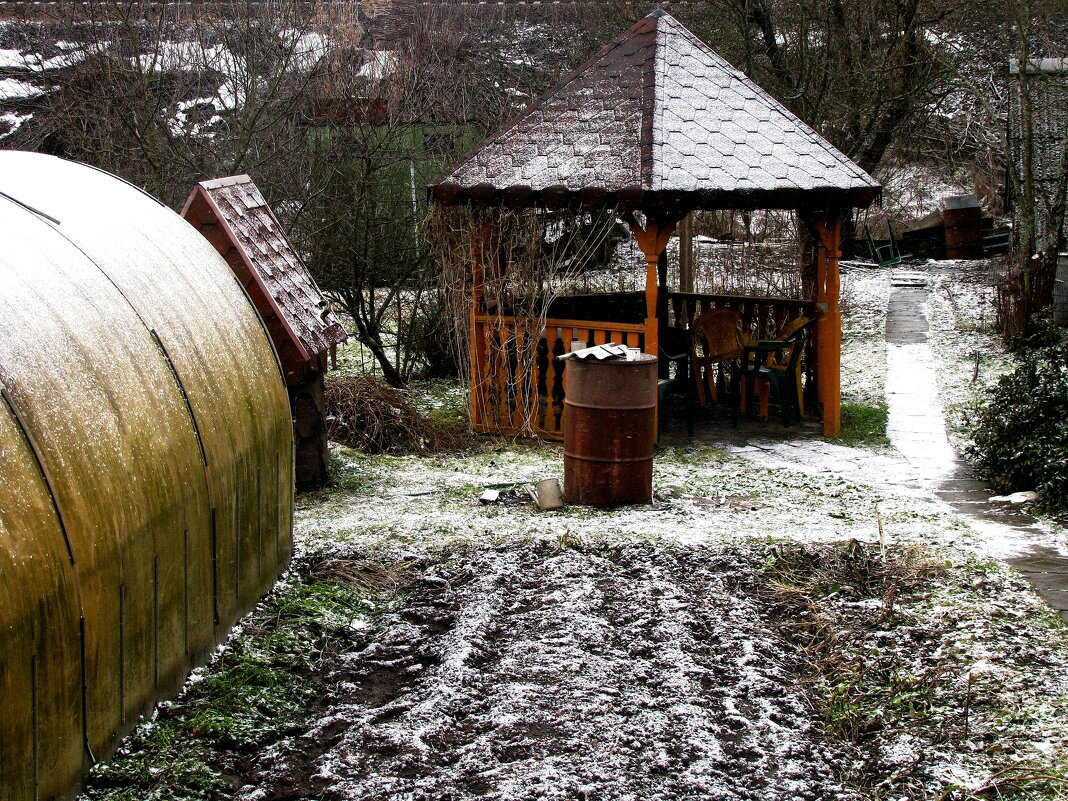 Слегка припорошил снежок мой сад - Людмила Смородинская