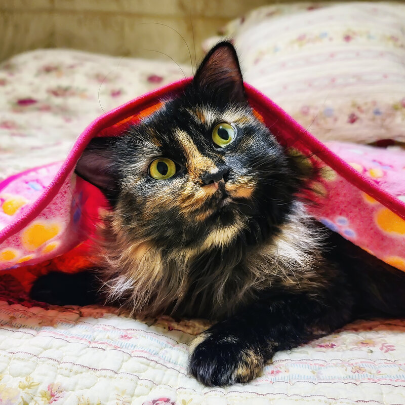 Полтергейстик ( девочка). - Анна Пугач