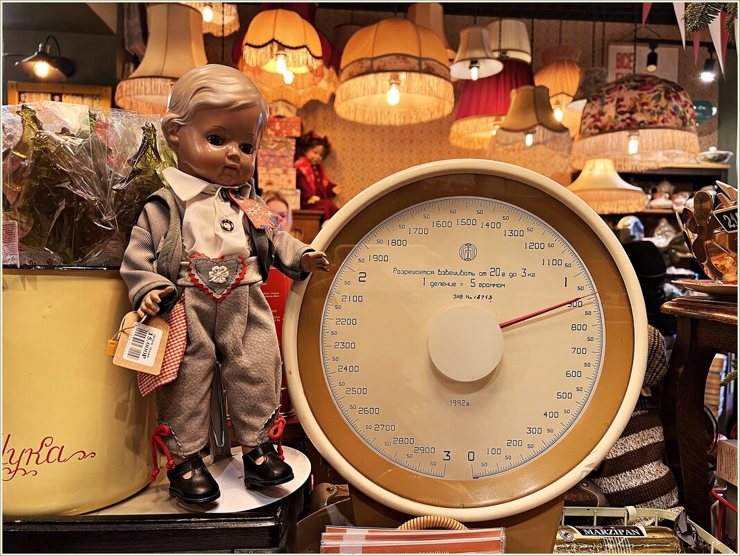 В магазине Барахольщик. - Валерия Комова В магазине Барахольщик. - Валерия Комова