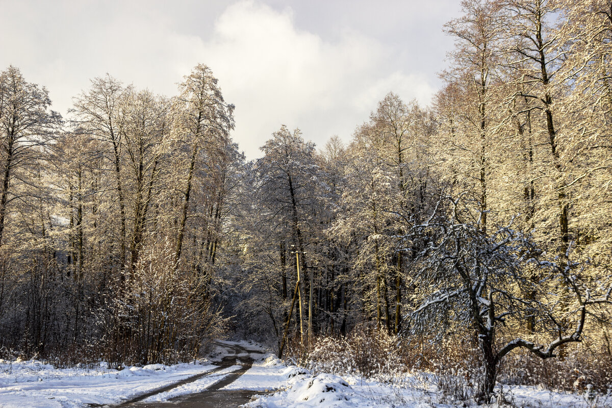 .. - оксана .. - оксана