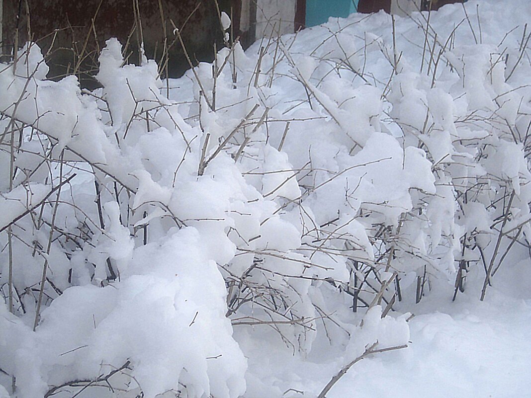 Когда было много снега - Елена Семигина Когда было много снега - Елена Семигина