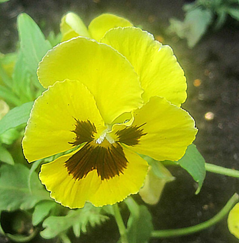 Весеннее - Елена Семигина