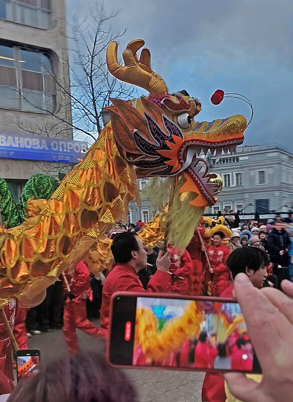 Змей новогодний - ИРЭН@ . Змей новогодний - ИРЭН@ .
