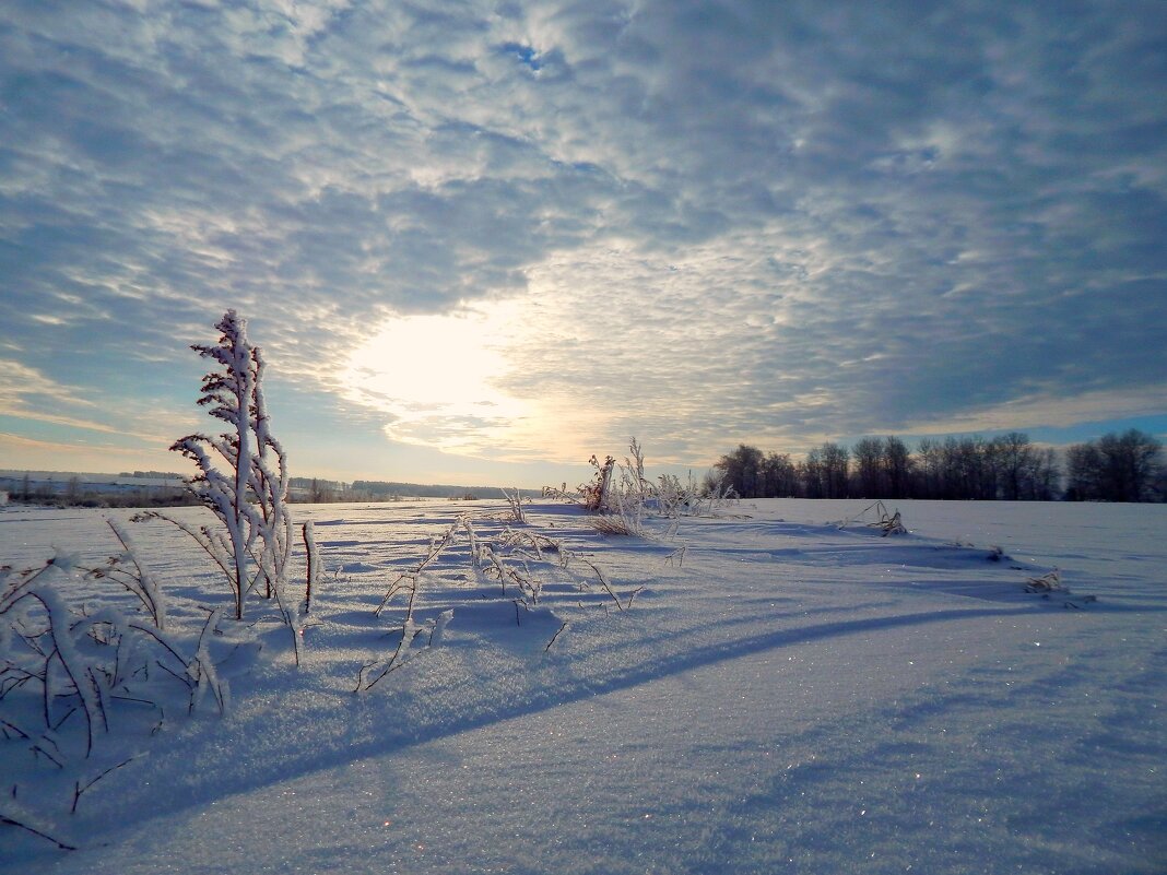 Закат в зимнем поле - Сергей Швечков Закат в зимнем поле - Сергей Швечков