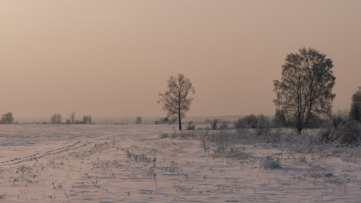 Зимний вечер в пейзаже. - Вадим Басов Зимний вечер в пейзаже. - Вадим Басов