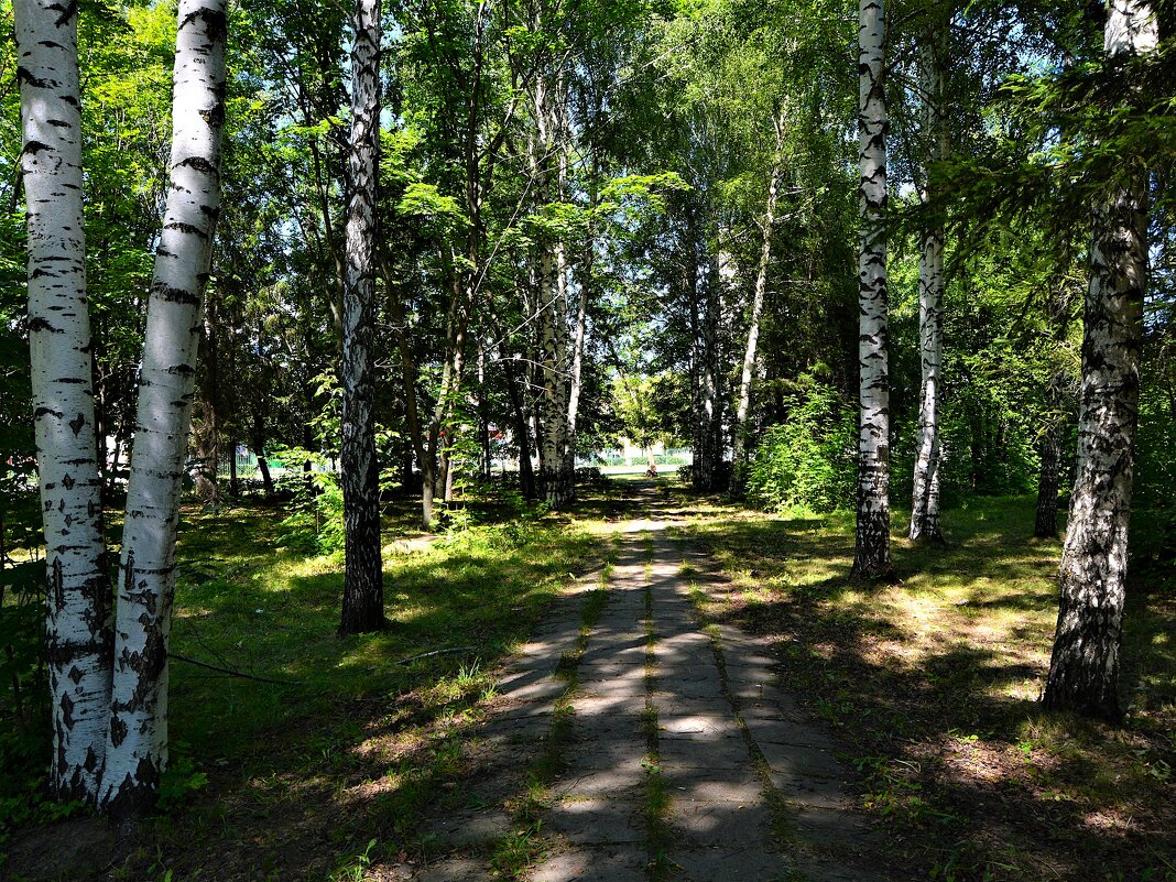 Чебоксары. Дорожка в сквере музея Истории трактора. - Пётр Чернега Чебоксары. Дорожка в сквере музея Истории трактора. - Пётр Чернега