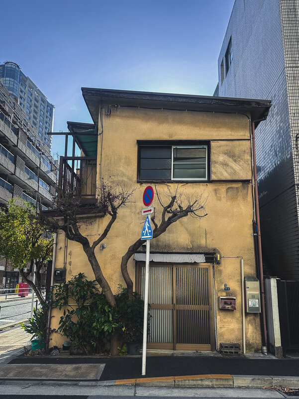 Домик на улице в Токио - Дмитрий Домик на улице в Токио - Дмитрий