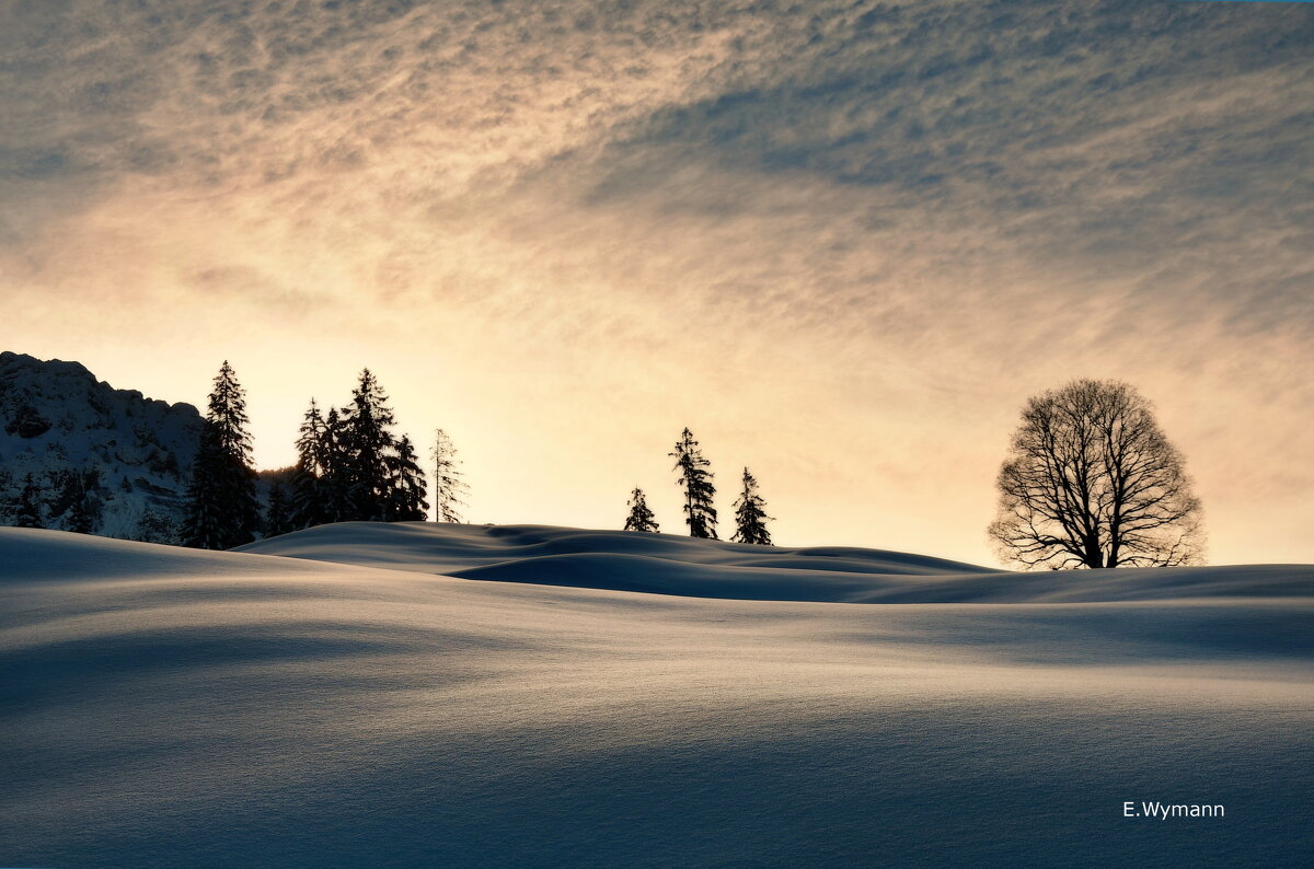 winter view - Elena Wymann winter view - Elena Wymann