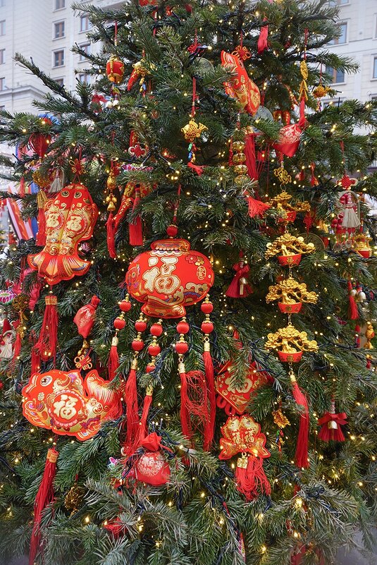 Китайский новый год - Ольга 