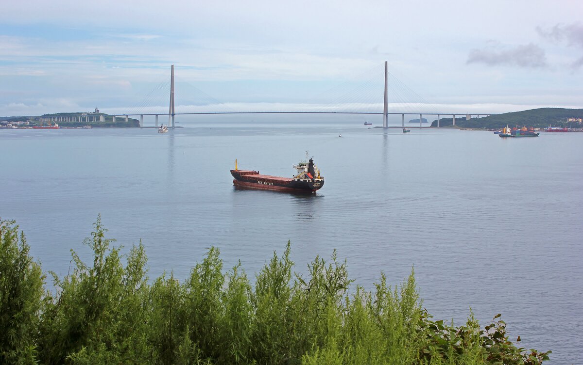 Русский мост - Владимир Соколов (svladmir) Русский мост - Владимир Соколов (svladmir)