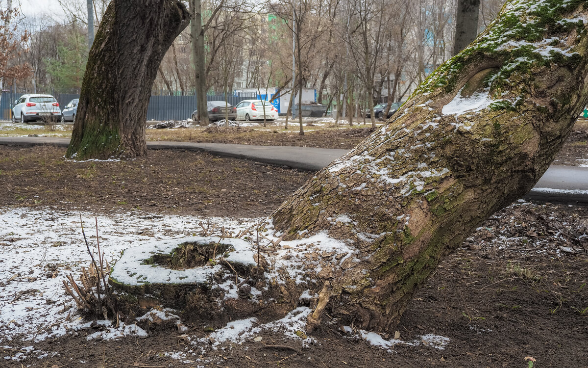 ***** - юрий поляков