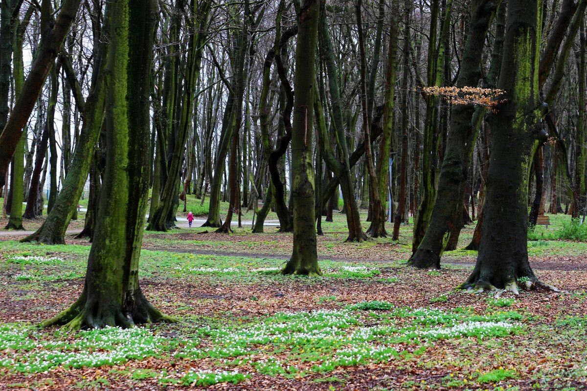 Девочка и весна - Юрий. Шмаков Девочка и весна - Юрий. Шмаков