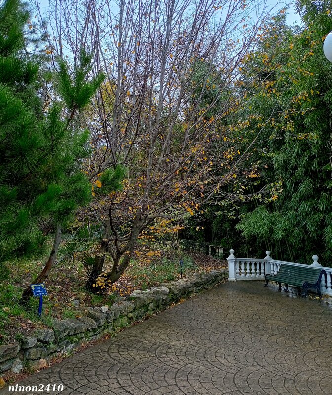 Адлер. Дендропарк "Южные культуры" - Нина Бутко Адлер. Дендропарк "Южные культуры" - Нина Бутко