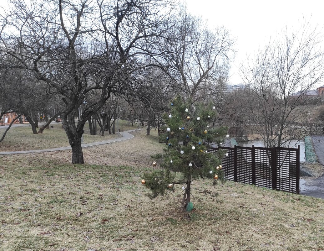 Новый год продолжается - Игорь Ч.