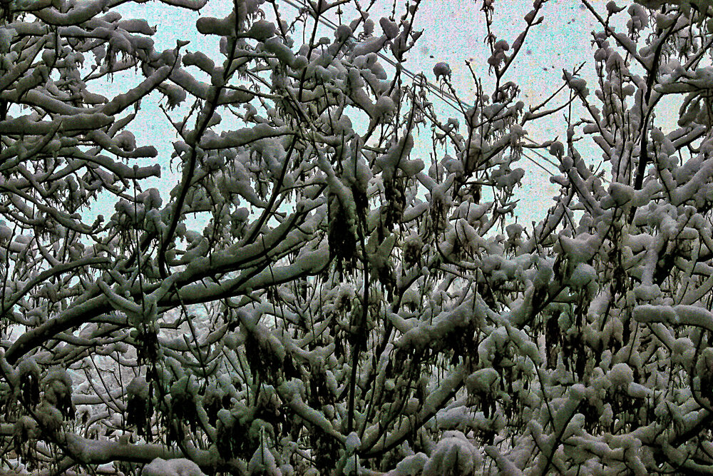 Снежно - Светлана SvetNika17 Снежно - Светлана SvetNika17