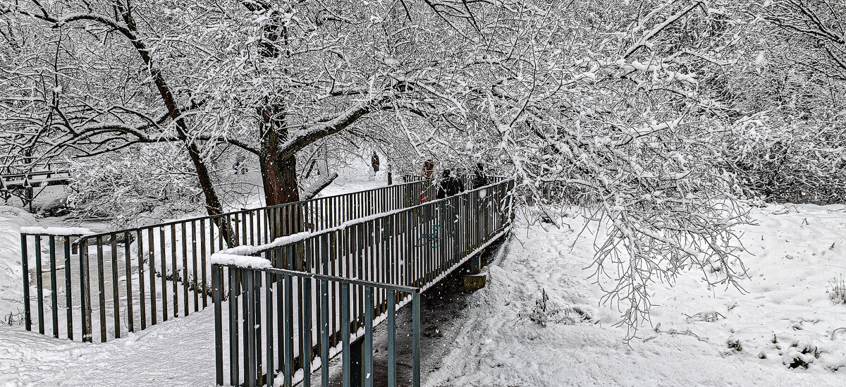 Два мостика - Владимир Езеров Два мостика - Владимир Езеров