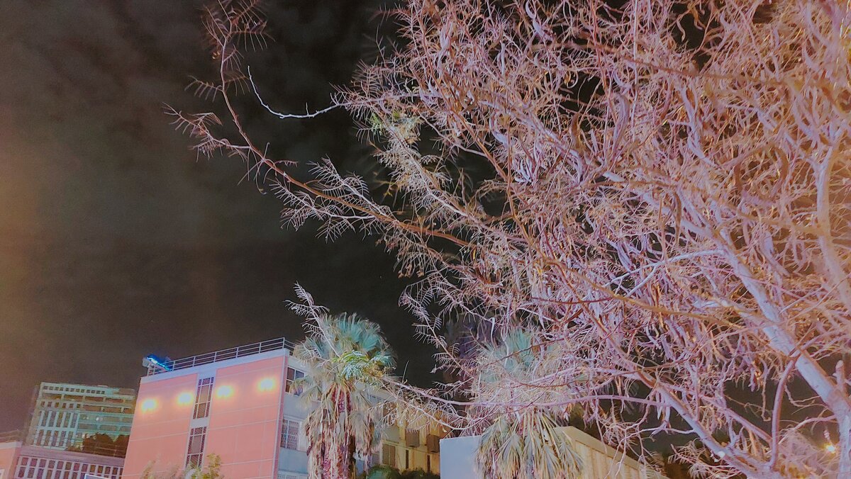 12  КЛОС (484) - CLOSE WAYS ALL