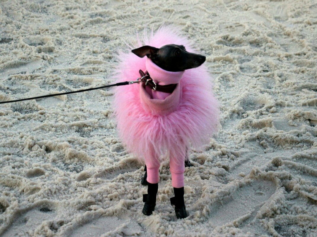 Нарядная - Наталья Герасимова Нарядная - Наталья Герасимова