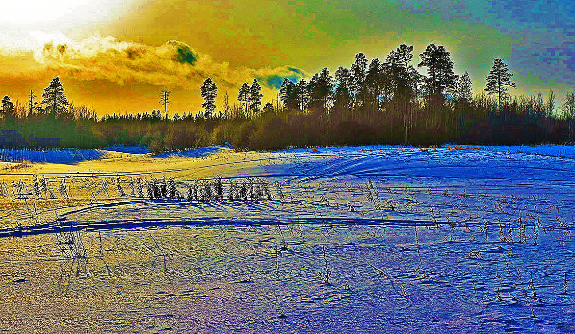 Морозный февраль в пойме протоки Чеускина! - Владимир Морозный февраль в пойме протоки Чеускина! - Владимир