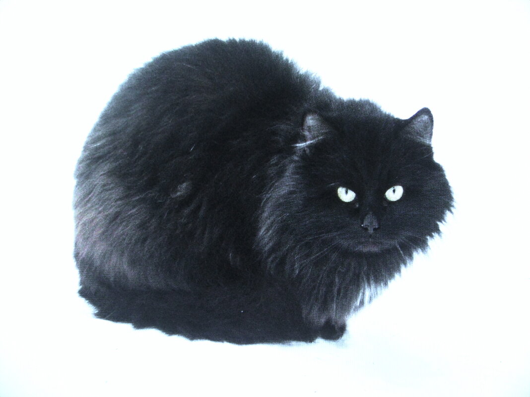 Пришёл в гости - Людмила Смородинская