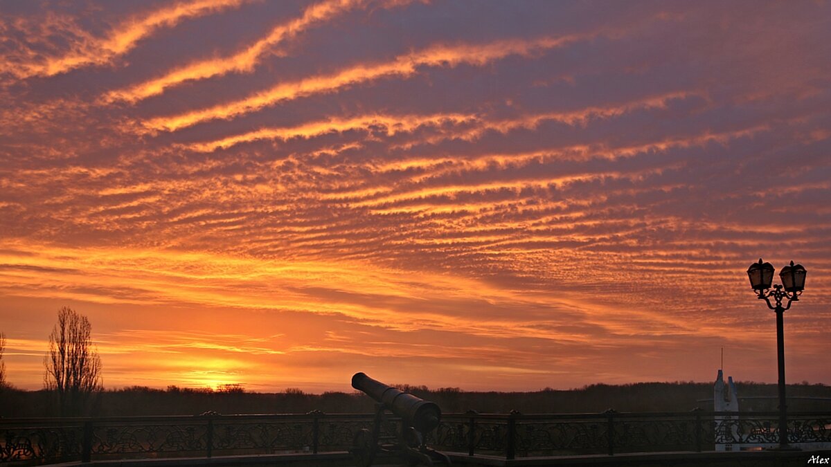 3716 - Alex . 3716 - Alex .