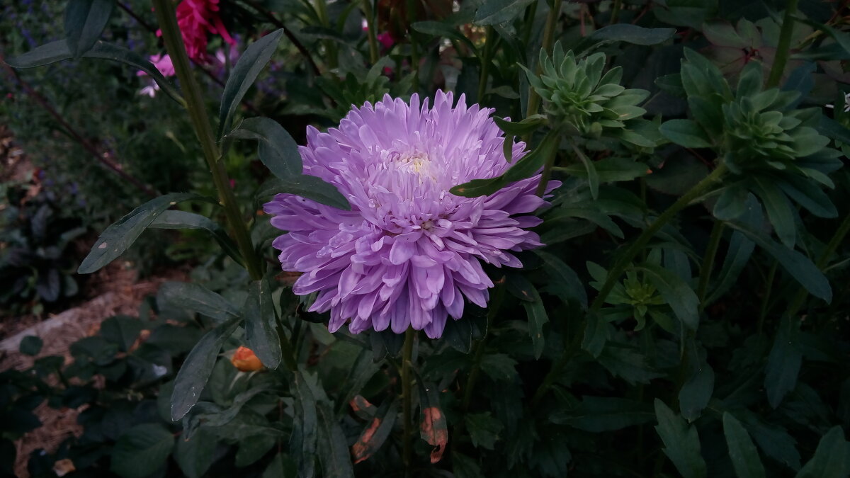 ,,, - Сергей Тимоновский