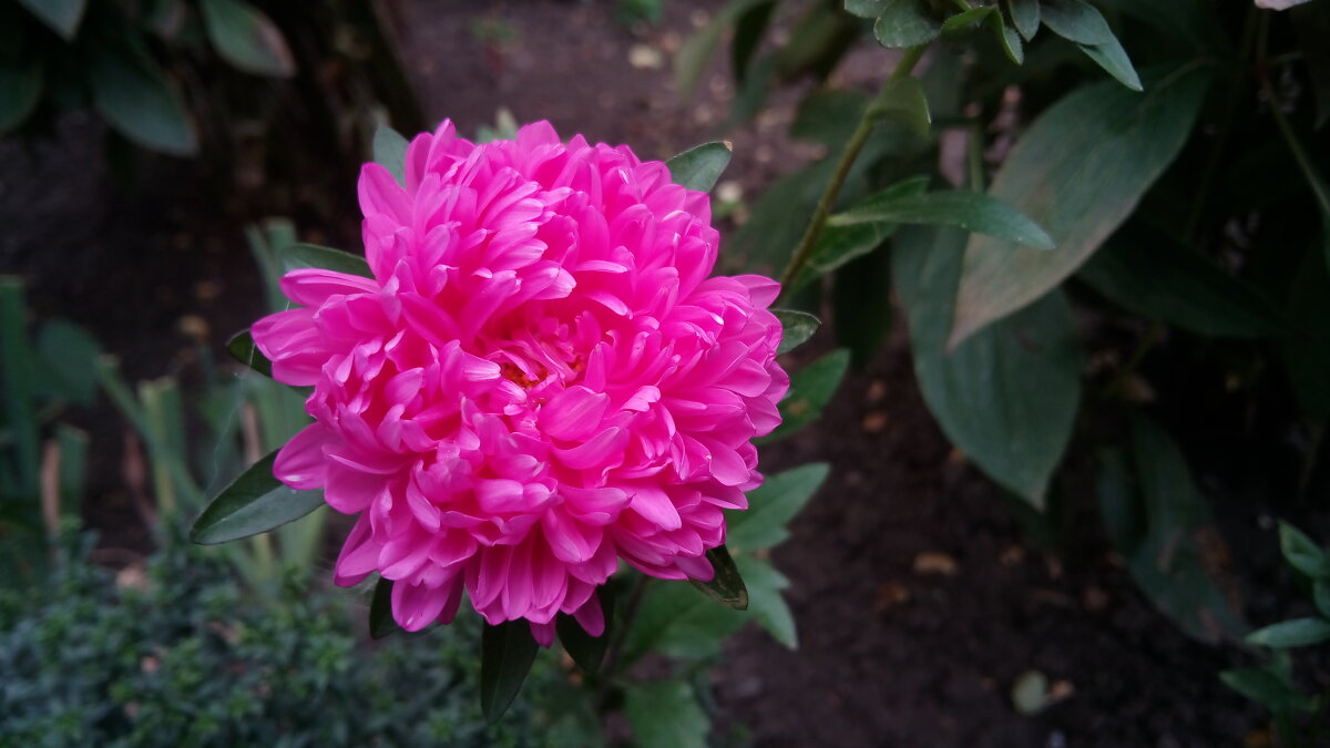 ,,, - Сергей Тимоновский