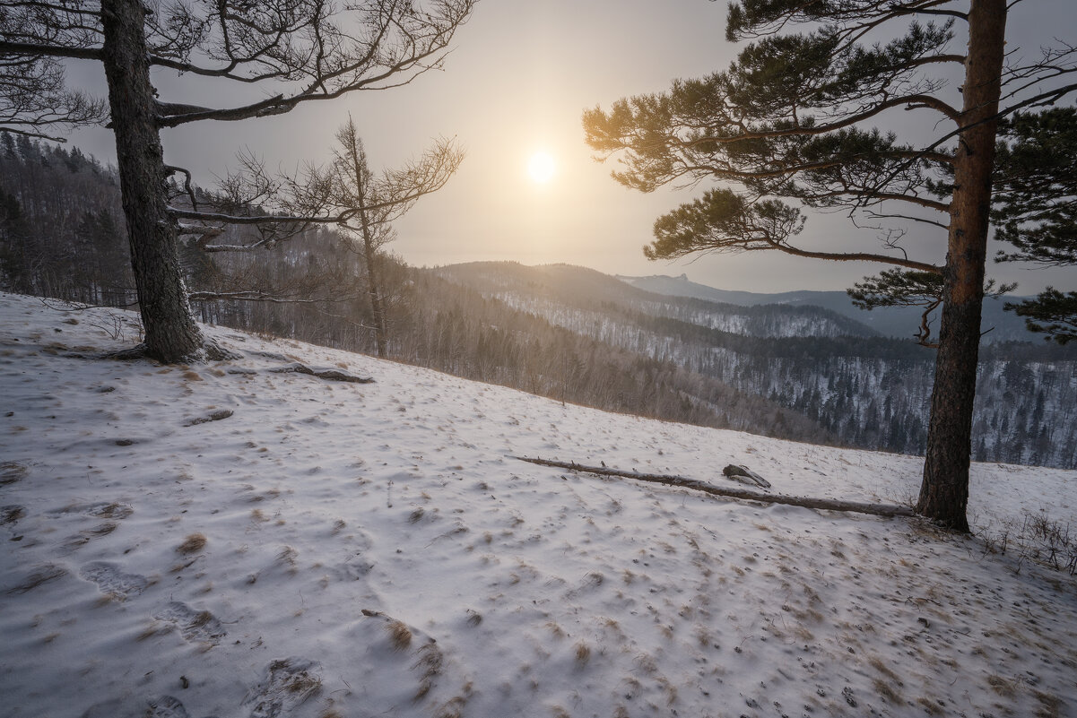 * - Александр Иванов
