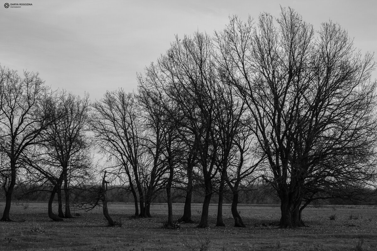 В ЧБ - Дарья Рогозина